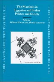 Cover of: The Mamluks in Egyptian and Syrian Politics and Society (Medieval Mediterranean) by 