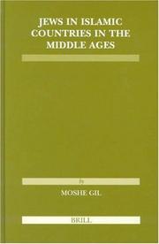 Cover of: Jews in Islamic Countries in the Middle Ages (Etudes Sur Le Judaisme Medieval)