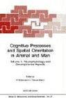 Cover of: Cognitive Processes and Spatial Orientation in Animal and Man: Volume II. Neurophysiology and Developmental Aspects (Nato Science Series D:)