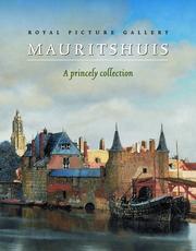 Royal Picture Gallery Mauritshuis by Peter Van Der Ploeg