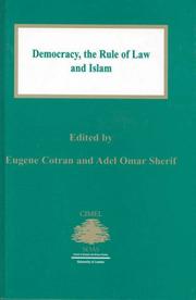 Cover of: Democracy, the rule of law and Islam