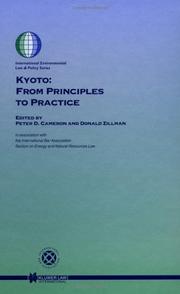 Cover of: Kyoto:From Principles to Practice (International Environmental Law and Policy Series, V. 60)