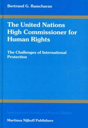 Cover of: The United Nations High Commissioner for Human Rights by B. G. Ramcharan