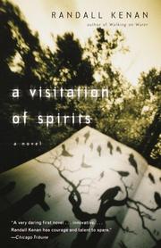 Cover of: A visitation of spirits: a novel