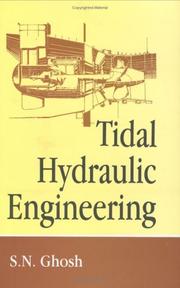 Cover of: Tidal Hydraulic Engineering