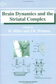 Cover of: Brain dynamics and the striatal complex by edited by R. Miller and J.R. Wickens.
