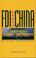 Cover of: Foreign Direct Investment in China