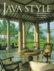 Cover of: Java Style