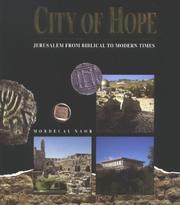Cover of: City of hope: Jerusalem from biblical to modern times