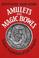 Cover of: Amulets and magic bowls