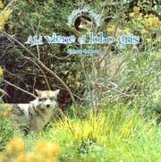 Cover of: Ahí viene el lobo gris (Animales de America)