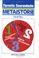Cover of: Metaistorie