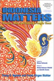 Cover of: Indonesia matters: diversity, unity, and stability in fragile times