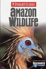 Cover of: Amazon Wildlife Insight Guide (Insight Guides) by Hans-Ulrich Bernard