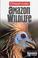 Cover of: Amazon Wildlife Insight Guide (Insight Guides)