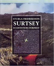 Surtsey by Sturla Friðriksson