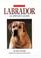 Cover of: Labrador (Collins Dog Owner's Guide)