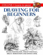 Cover of: Drawing for Beginners  A Step-By-Step Guide to Drawing Success