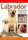 Cover of: Labrador