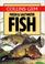 Cover of: Gem Guide to Fresh and Salt Water Fish
