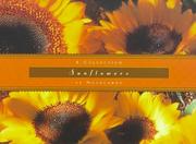Cover of: Sunflowers: Notecards
