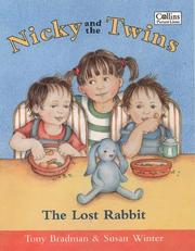 Cover of: Nicky and the Twins: The Lost Rabbit (Nicky & the Twins)