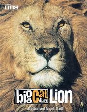 Cover of: Big Cat Diary: Lion (Big Cat Diary)