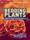 Cover of: Bedding Plants
