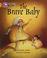 Cover of: The Brave Baby