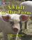Cover of: A Visit to the Farm (Collins Big Cat)