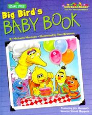 Cover of: Big Bird's Baby Book (Jellybean Books(R))