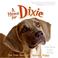 Cover of: A Home for Dixie