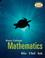 Cover of: MP Basic College Mathematics (softcover)