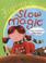 Cover of: Slow Magic (Flying Foxes)