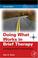 Cover of: Doing What Works in Brief Therapy
