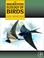 Cover of: The Migration Ecology of Birds