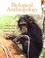 Cover of: Biological Anthropology (2nd Edition) (MyAnthroLab Series)