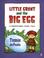 Cover of: Little Grunt and the Big Egg