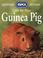 Cover of: Care for Your Guinea Pig (RSPCA Pet Guides)