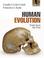 Cover of: Human Evolution