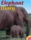 Cover of: Elephant Diary