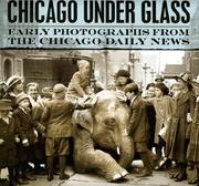 Cover of: Chicago under Glass: Early Photographs from the Chicago Daily News