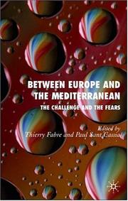 Cover of: Between Europe and the Mediterranean: The Challenges and the Fears