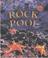 Cover of: Life in a Rock Pool (Microhabitats)