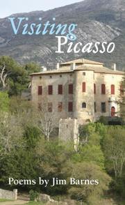 Cover of: Visiting Picasso (Illinois Poetry Series)
