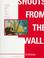 Cover of: Shouts from the wall