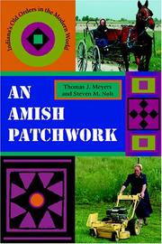 Cover of: An Amish Patchwork by Thomas J. Meyers, Steven M. Nolt