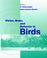 Cover of: Vision, brain, and behavior in birds