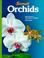 Cover of: Orchids