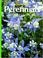 Cover of: Perennials